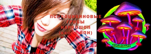 прущая мука Медногорск
